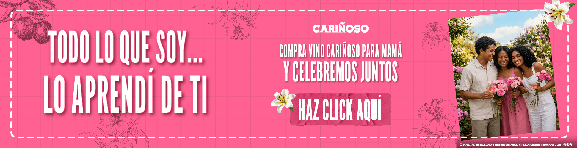 ADICIONALES_ECOMMERCE_BANNER_CARIN_OSO