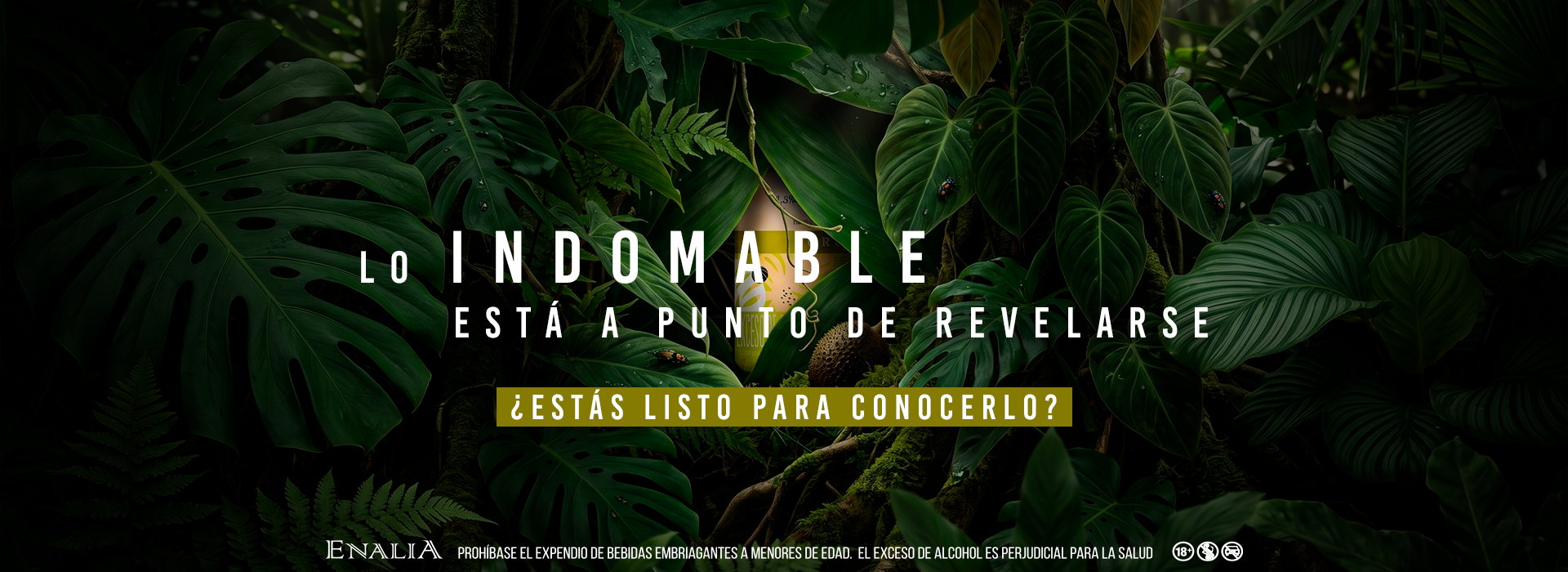 Vino NRGY - envío en Bogotá